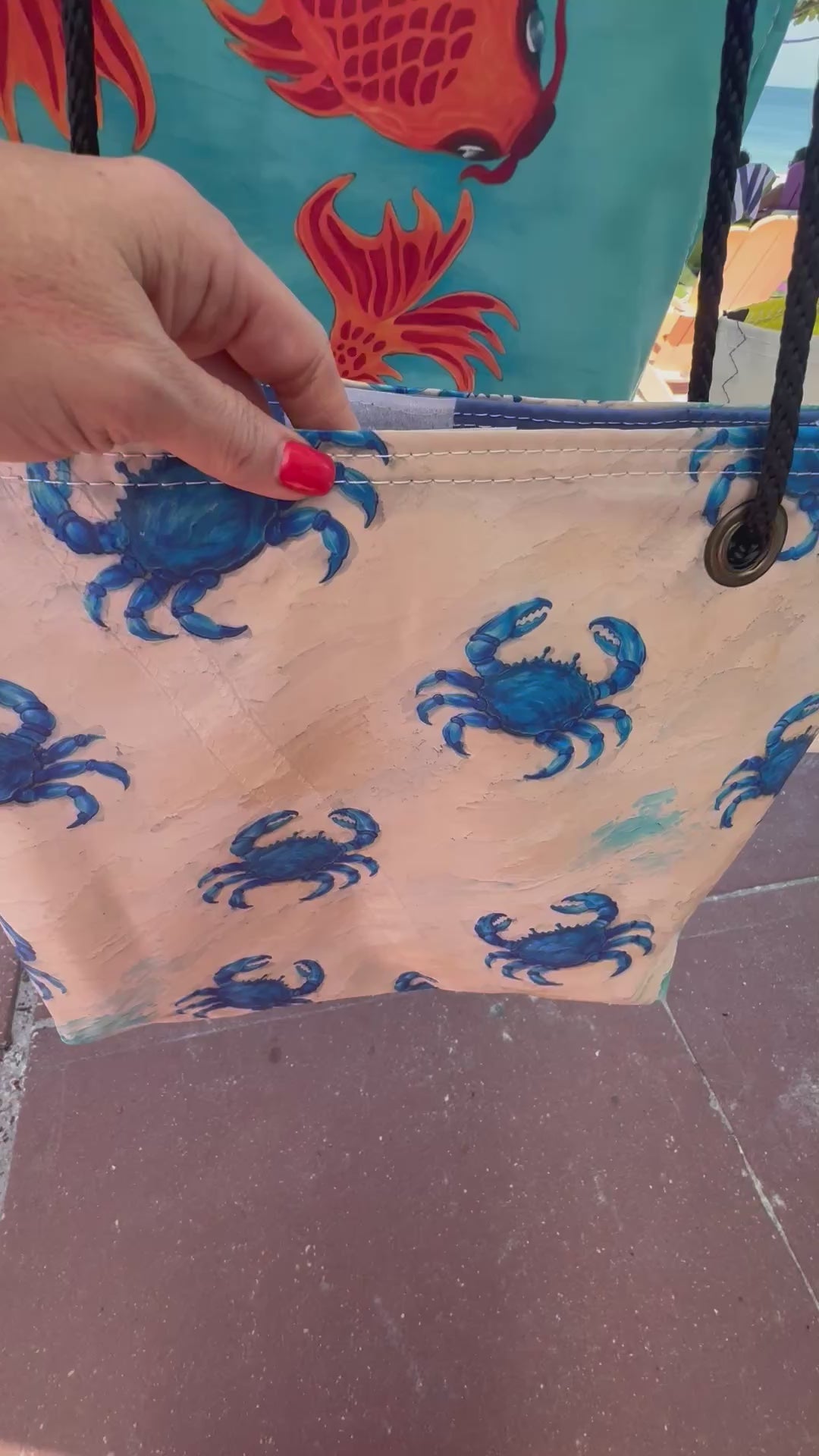 Lots of Blue Crabs recycled sail bag video